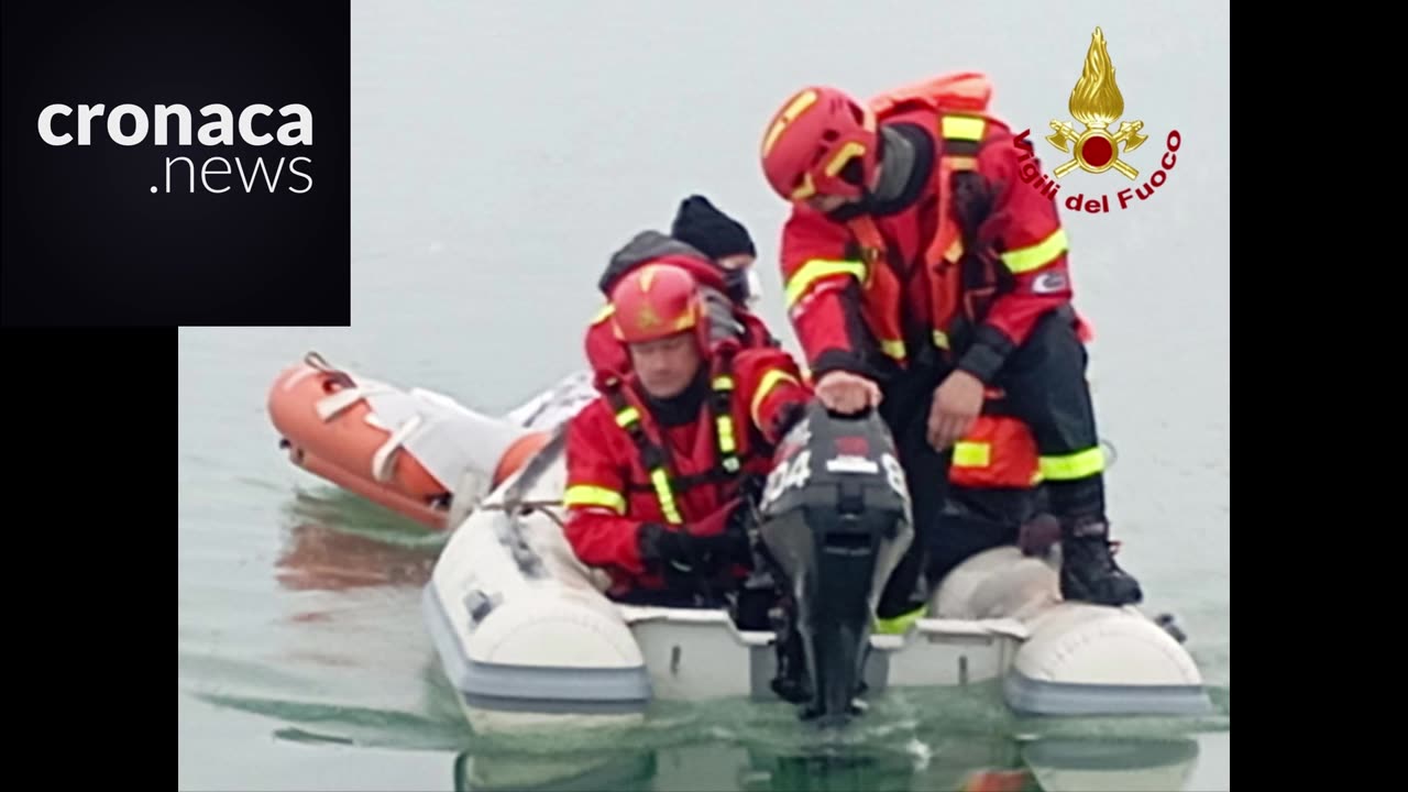 In Italia stenella intrappolata nel fango della laguna, salvata in tempo