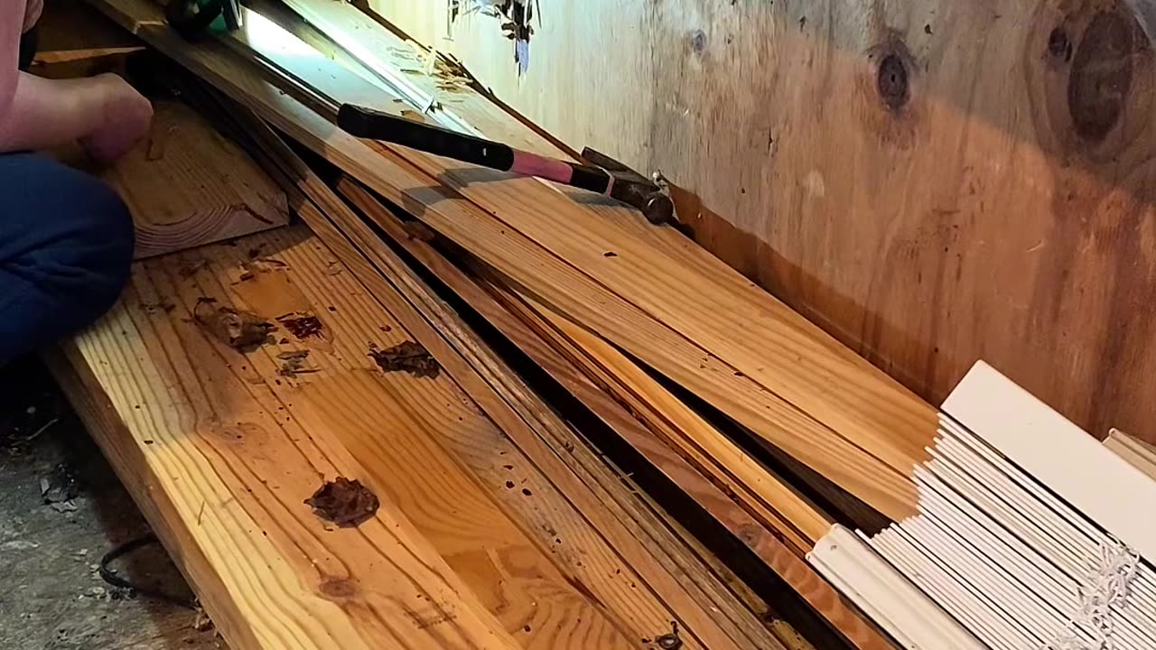 Trapped Kitten Removed From Shed Walls