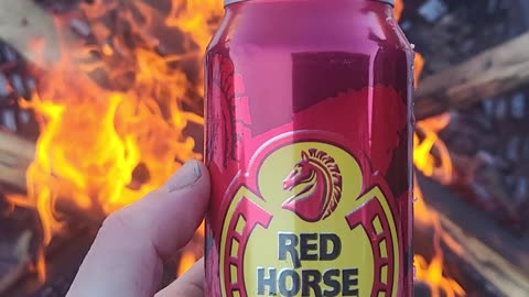 Trying some red horse beer for 1 Times