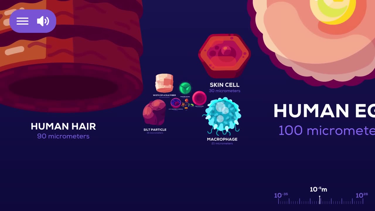 Universe Size Comparison