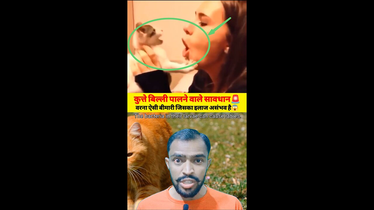 कुत्ते बिल्ली पालने वाले सावधान वरना ऐसी बीमारी जिसका इलाज असंभव है😱