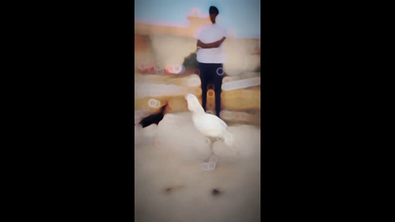 💪🏿💪🏿💪🏿💪🏿💪🏿💪🏿👌👌🤟🤟🙏😂🤟🙏👌