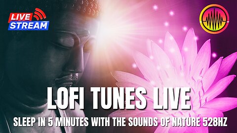 LOFI TUNES LIVE - De-stress and relax after the show