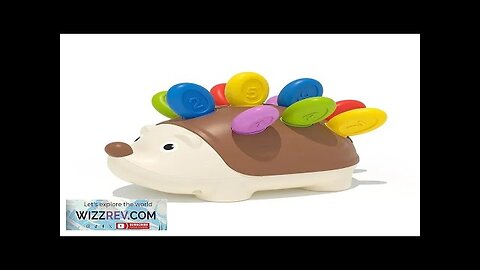 Toddler Montessori Toys Fine Motor and Sensory Toys for Kids Ages 18M+ Review