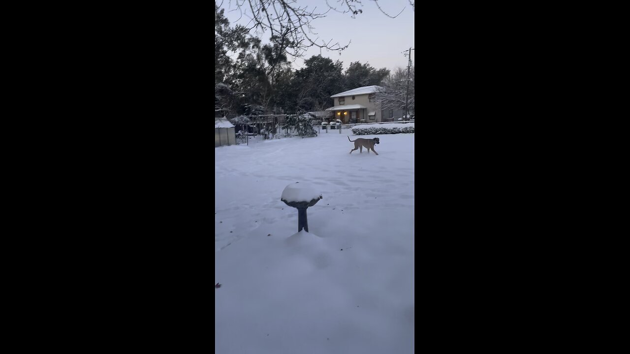 Pensacola, Florida snow