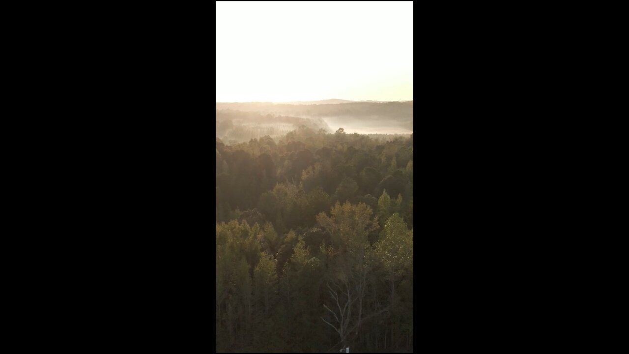 Daily Verse February 26th 2025