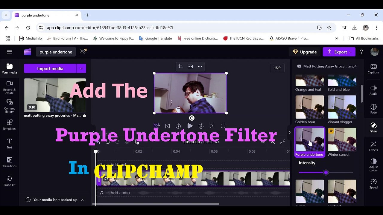 Add The Purple Undertone Filter In Clipchamp