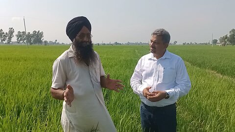 Dr Ratish sharma Basmati expert Modipuram