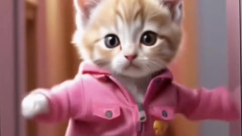 The Ultimate AI Cat Dance Show #AICats #CuteAICats #mqaicatsworld #mq