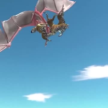 Dengerous Animals Fight