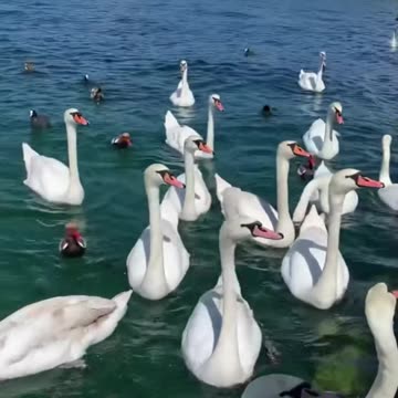 The City Home to the Most Millionaires 😍