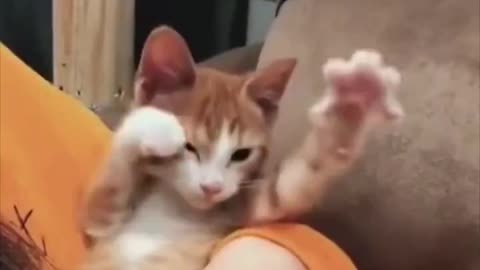 What’s he doing? 🤔