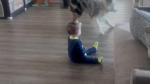 Aussie Wants Baby To Play