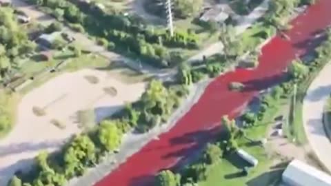 WATCH: Argentina canal turns blood-red, alarming locals