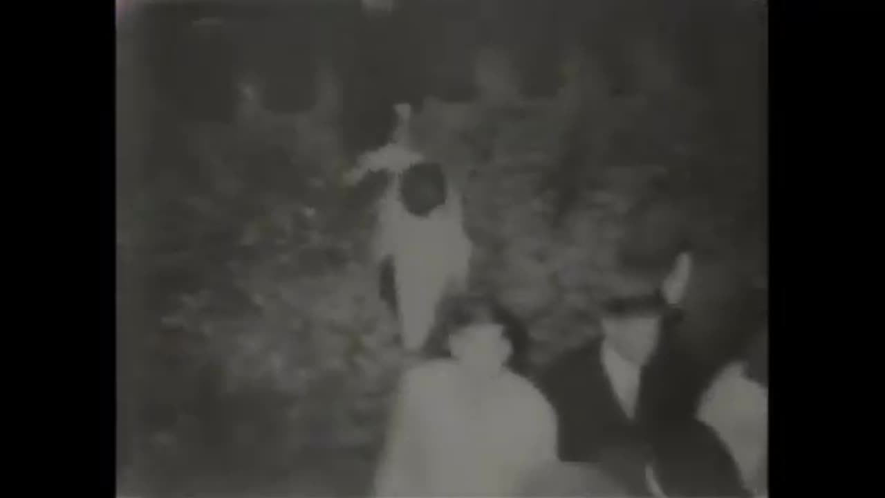 new york Blackout 1 day in the armagedon in 1977