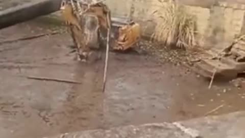 Excavator wins