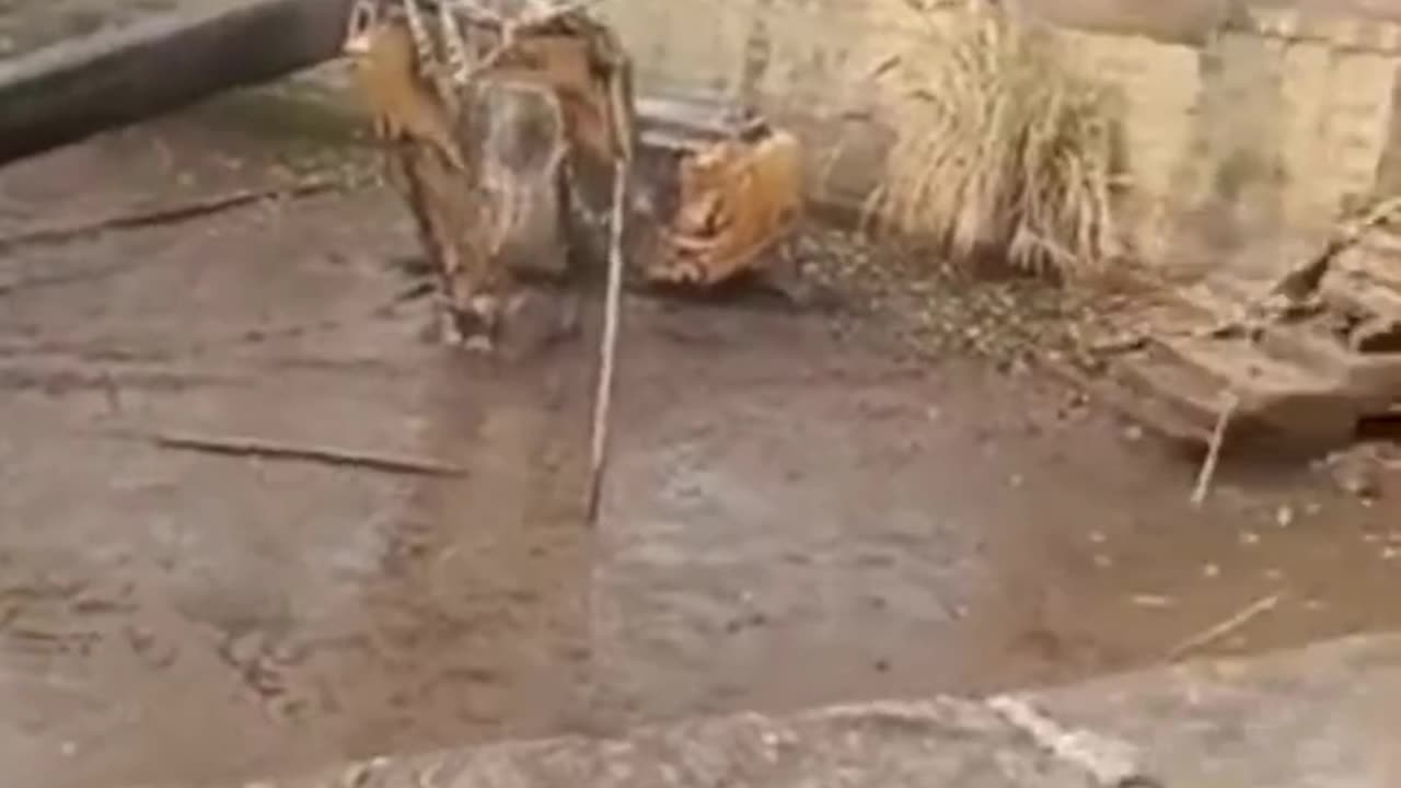 Excavator wins