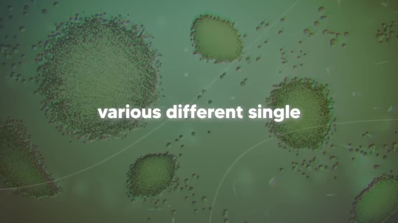 The Evolution of Humanity: From Cells to Superintelligence