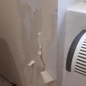 The cat destroyed the house