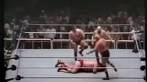 Andre the giant video