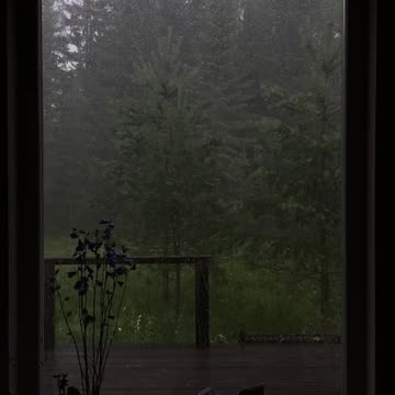 Rain sounds for sleep#window rain#heavy rain sounds for sleep |