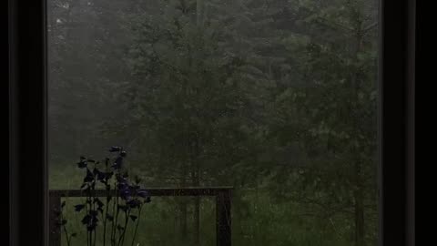 Rain sounds for sleep#window rain#heavy rain sounds for sleep |