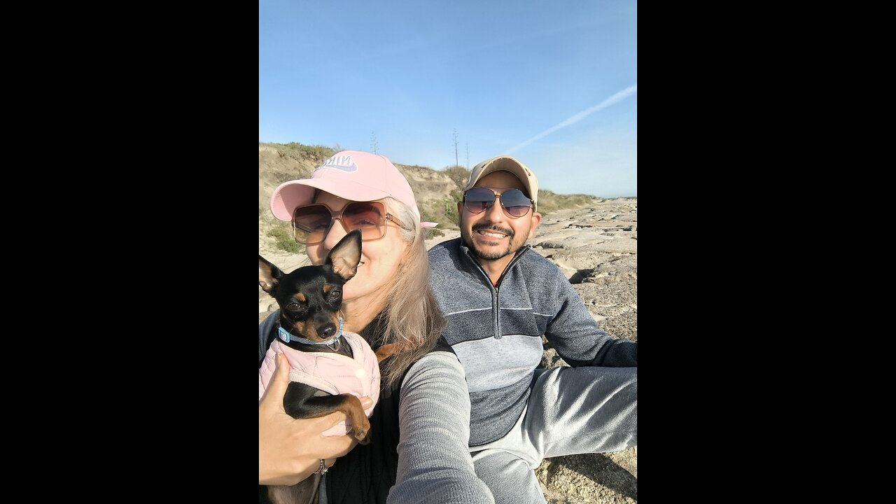 Pinscher Pietra