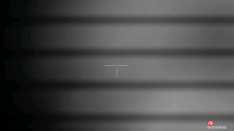 Blackie - treeing footage