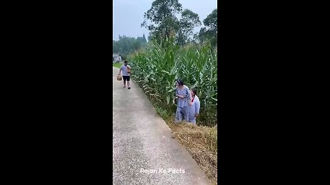 Dekho mote ko kaise pagal banaya 😂😂