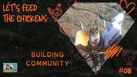 Building Community | Let's Feed the Chickens | E08