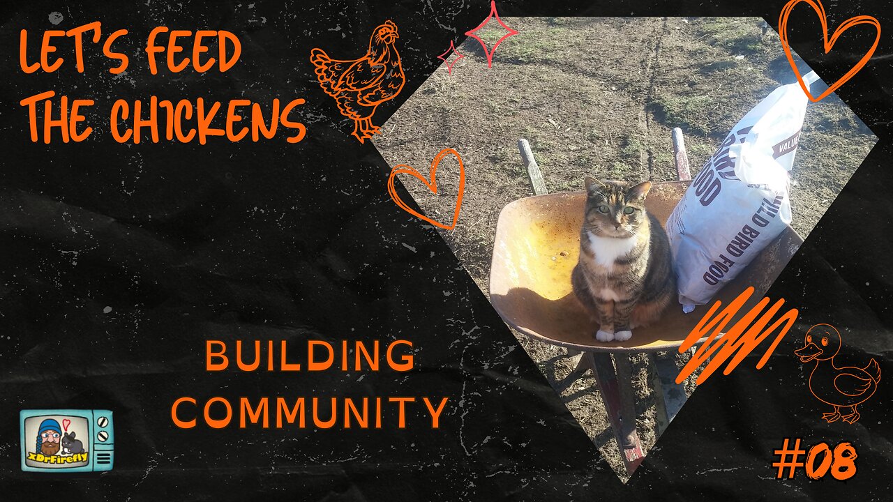 Building Community | Let's Feed the Chickens | E08