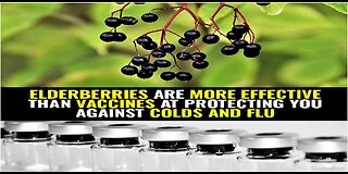 Elderberries are more effective than vaccines