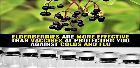 Elderberries are more effective than vaccines