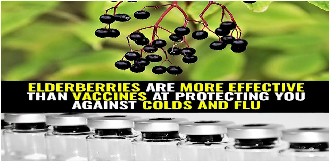 Elderberries are more effective than vaccines