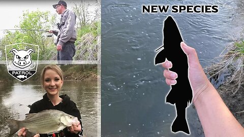 Stinky Creek Fishing with Josh from Pigpatroltv and a (New First Catch)