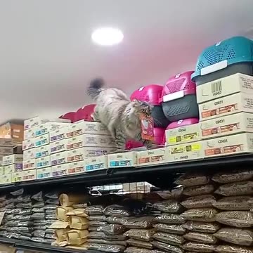 Shop lifting tricks #1