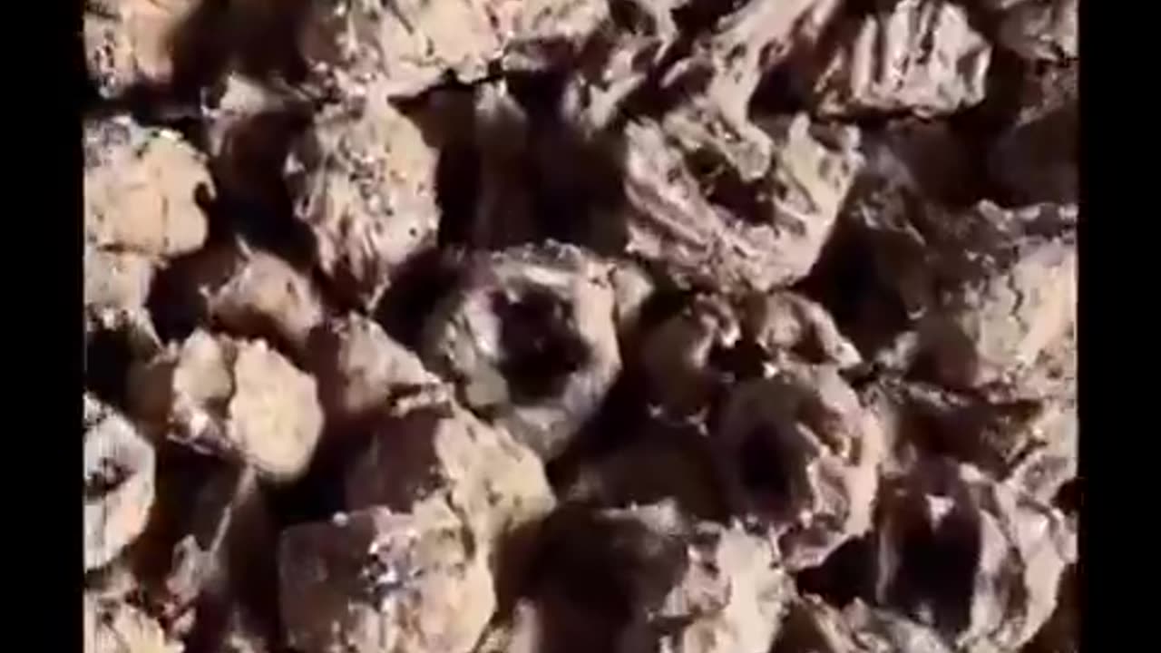 Compilation of Indian street food, don't skip💀 watch till end 🤢