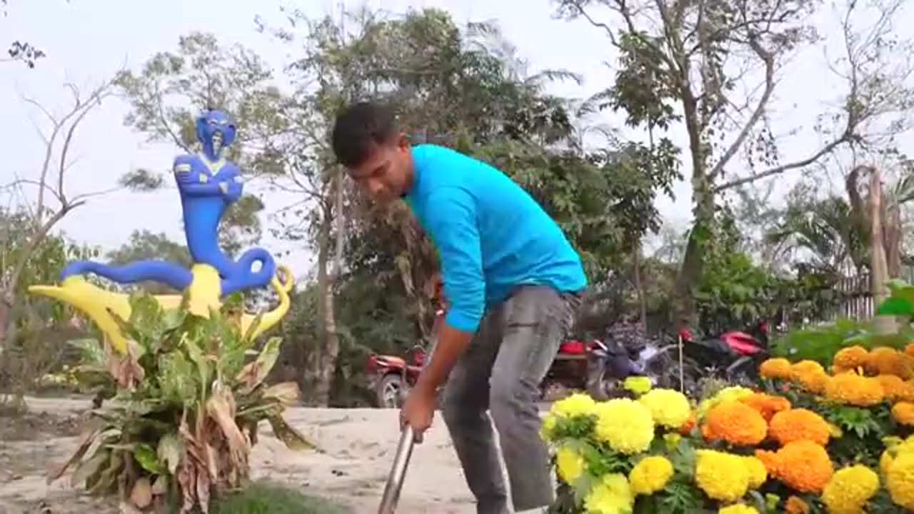 Funny comedy action love