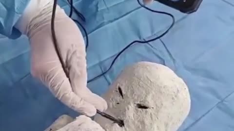 Two new 5ft-tall 'alien mummies' are discovered in Peru