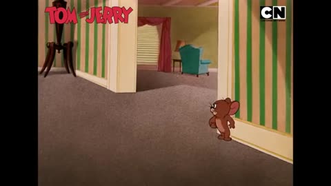 Tom & Jerry -funny clips7