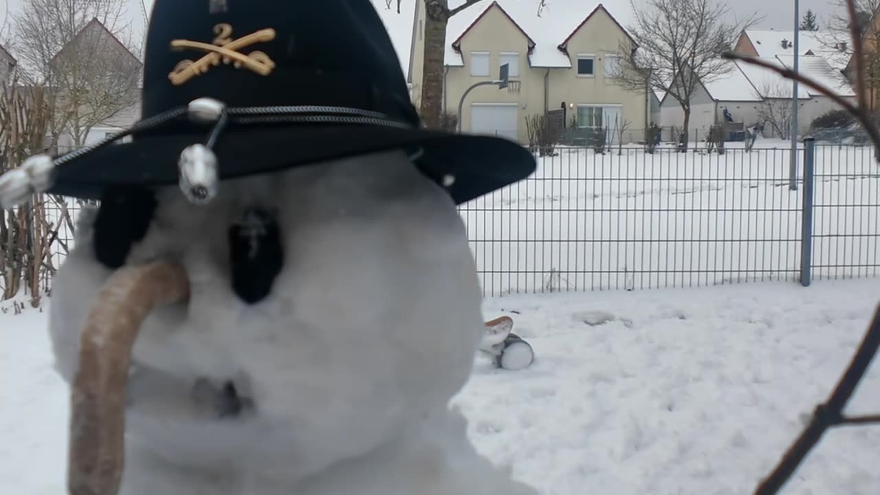 When Don't Have Any Carrots and Need a Nose for Your Snowman