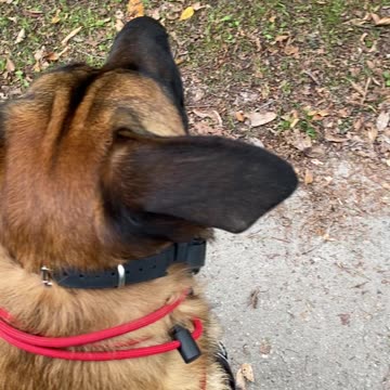 Recall long distance