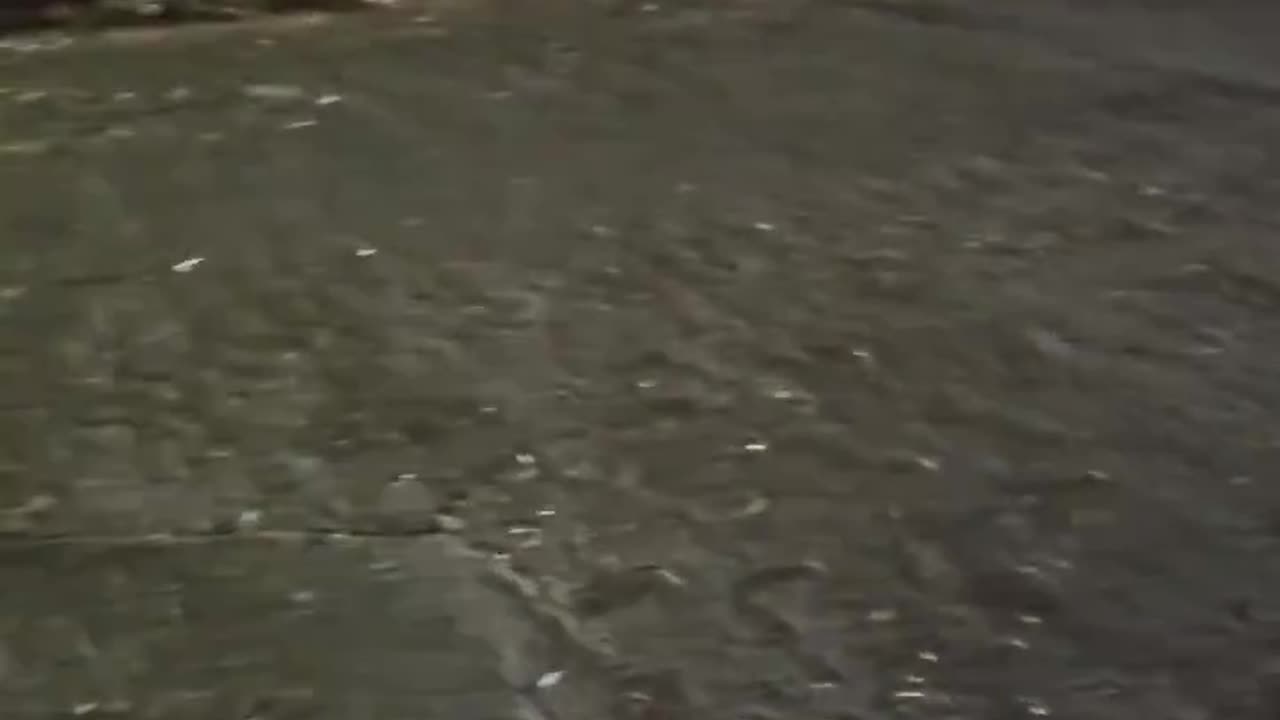 🇺🇸🔥 ENDLESS STREAM OF LOOTERS IN NEWLY ANNOUNCED EVACUATION ZONE IN ENCINO NEAR PALISADES FIRE