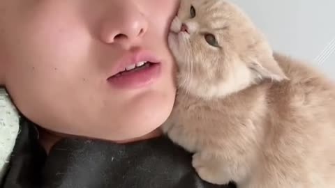 This cat love his master