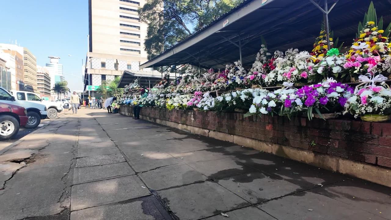 🇿🇼 72 Hours in Zimbabwe's Capital, Harare 👮🏿
