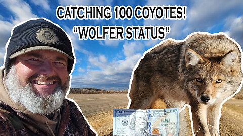 WOLFER STATUS! Catching My 100th Coyote! | Bobcat #9, Coyotes #95-100 | S5 Ep 21