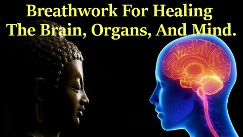 Breathwork For Healing The Brain, Organs, And Mind