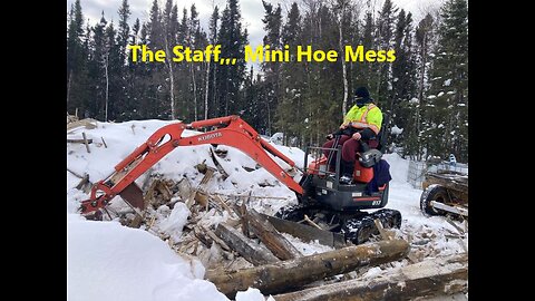 The Staff Cleaning Up the Mess Using the Kubota U17 Mini Hoe Mar 07 2025