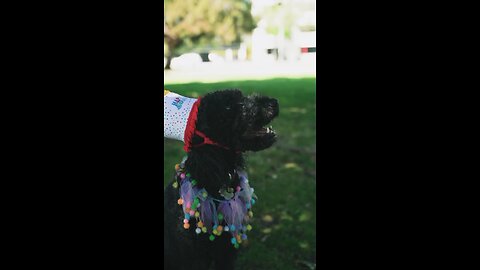 Chef👨‍🍳😅😄