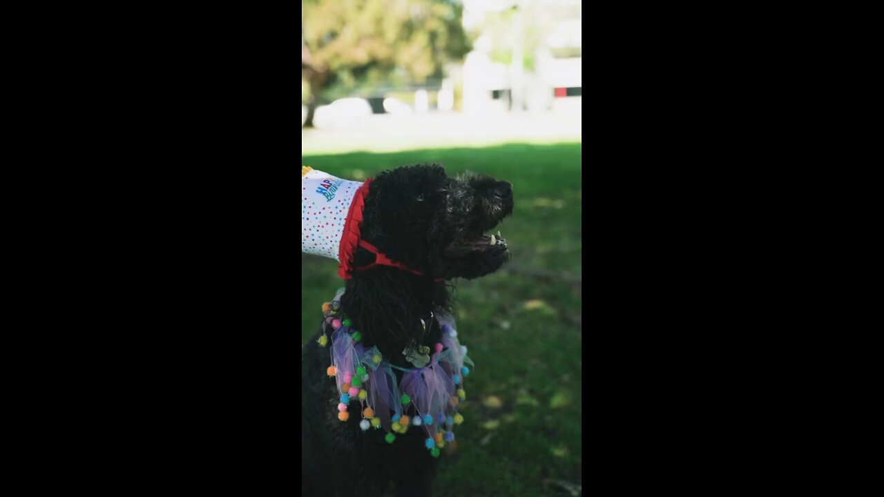 Chef👨‍🍳😅😄